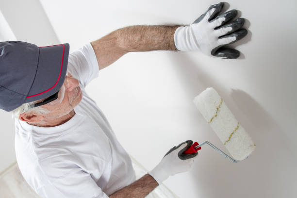 Best Mold Damage Restoration  in Galatia, IL