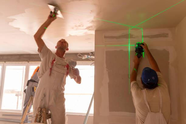 Best Attic Mold Removal  in Galatia, IL