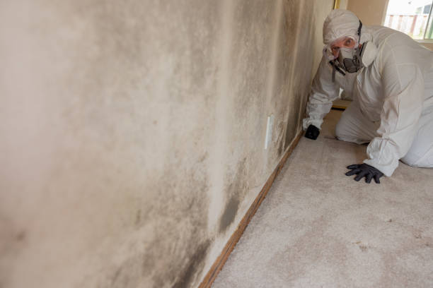Best Asbestos and Lead Testing During Mold Inspection  in Galatia, IL