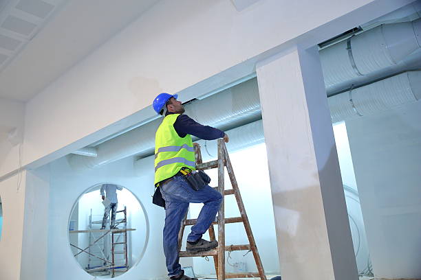 Best Real Estate Mold Inspection  in Galatia, IL