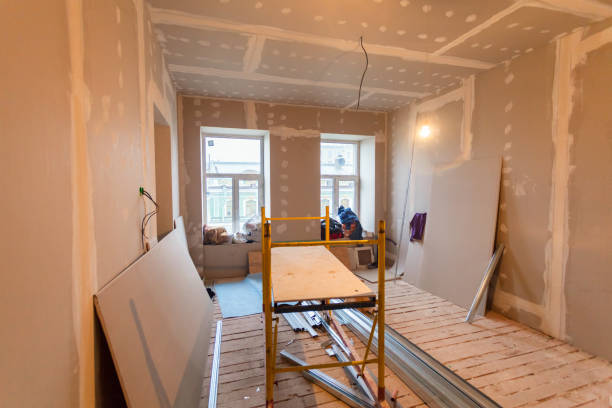 Biohazard Mold Removal in Galatia, IL